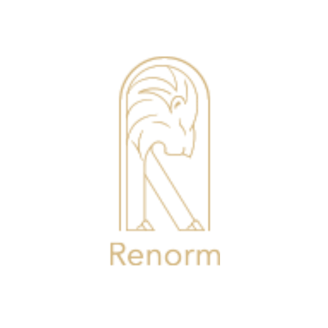 Renorm logo